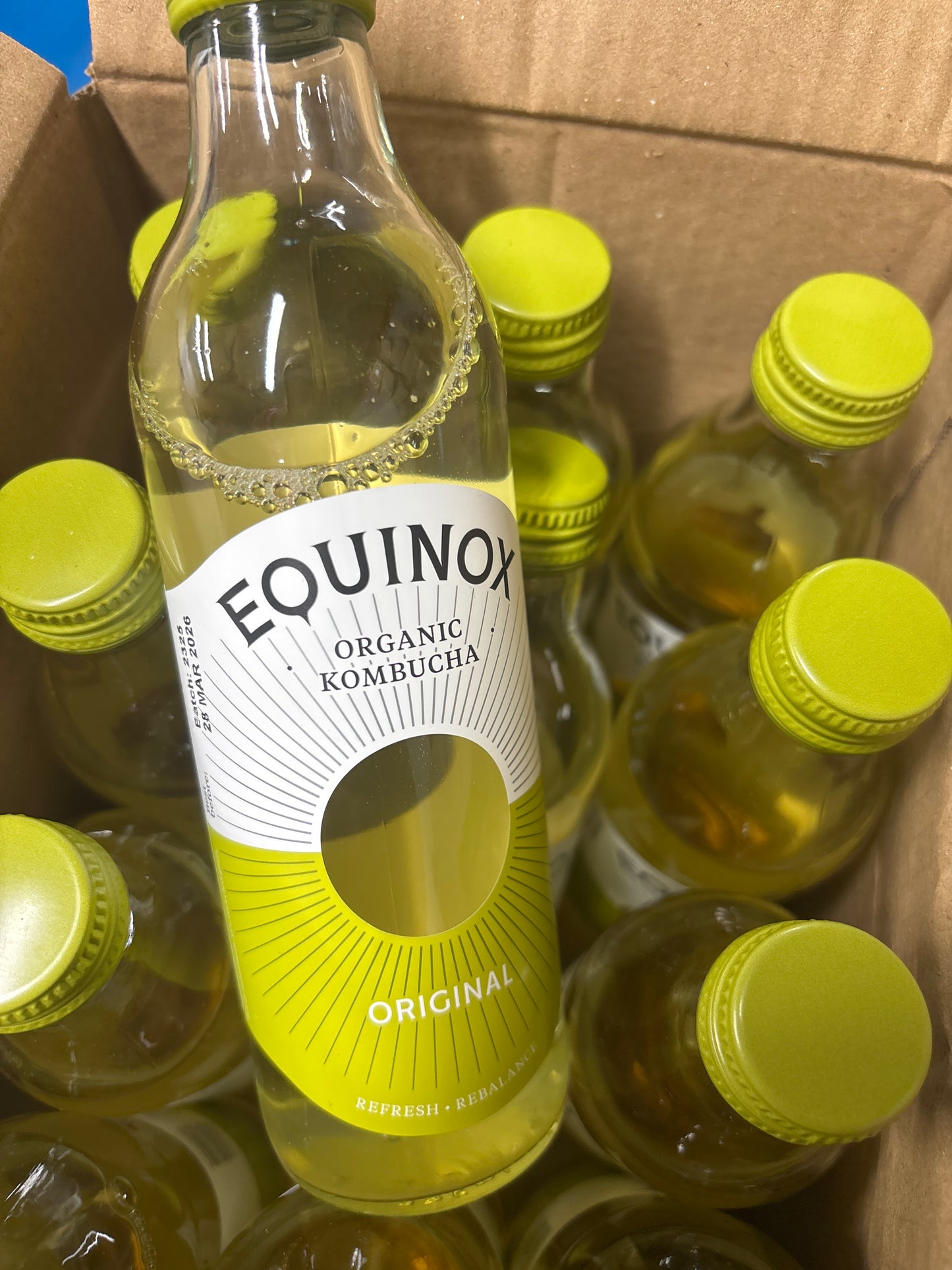 Equinox Organic Original Kombucha / 275ml Bottle