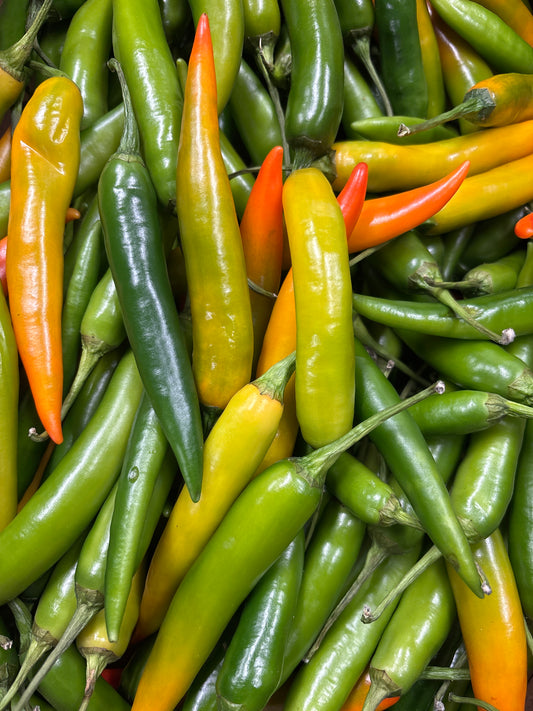8x Chilli Peppers