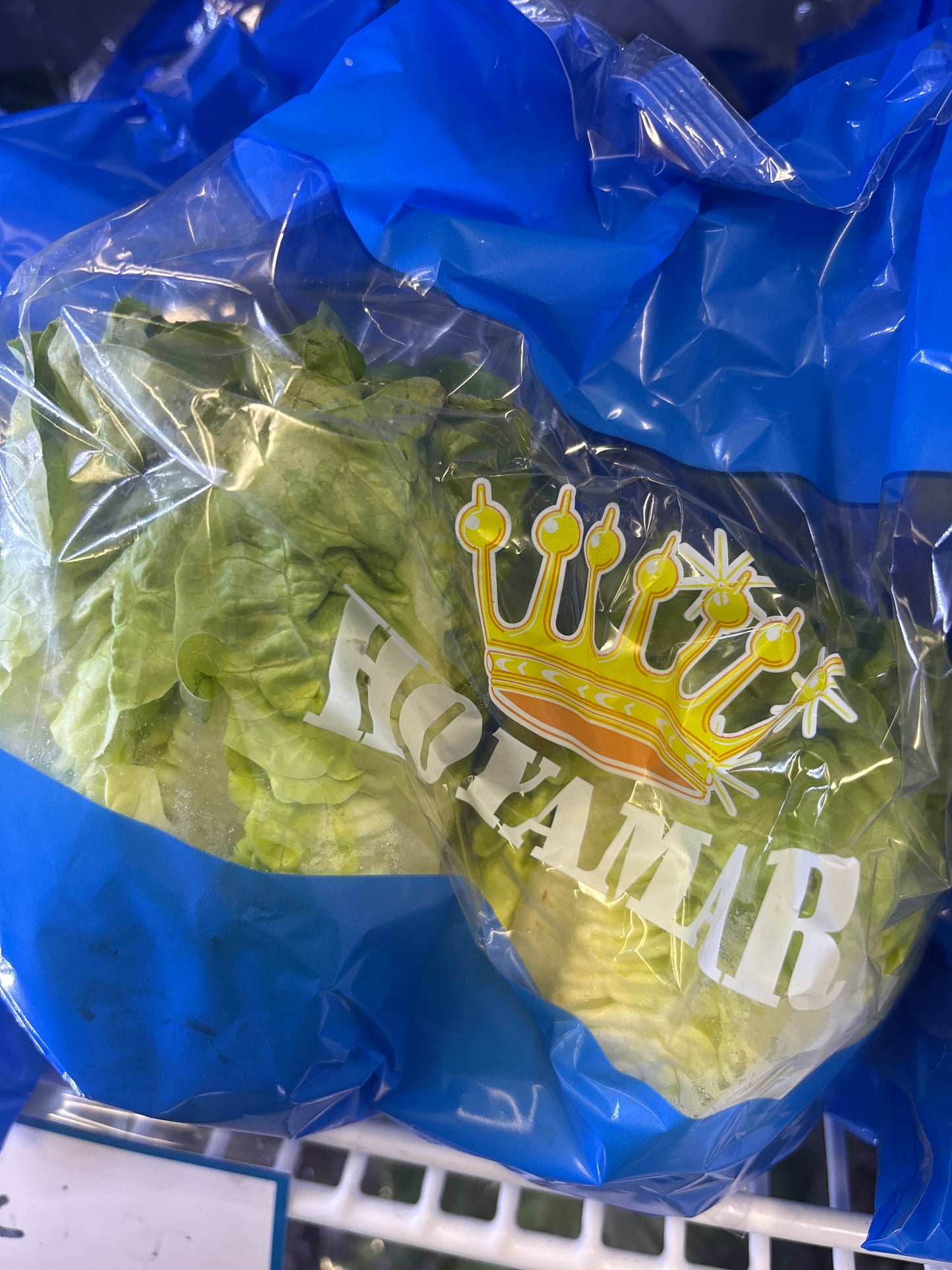 2x Double Pack Baby Gem Lettuce