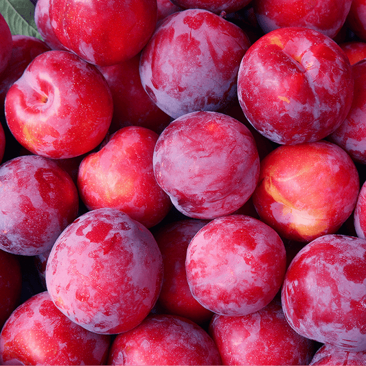 1x Plums (Pack)