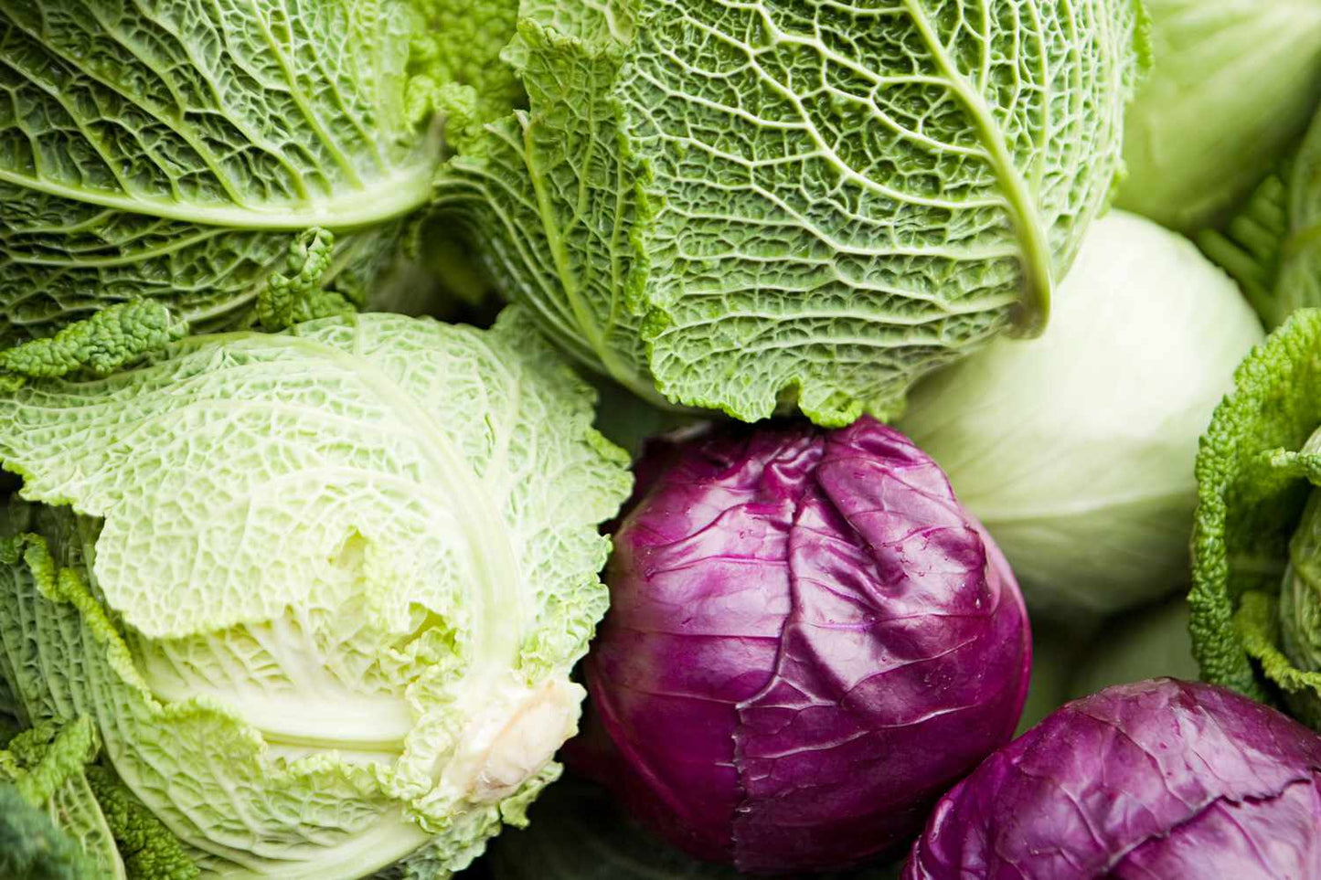 2x Cabbage (Various Types)