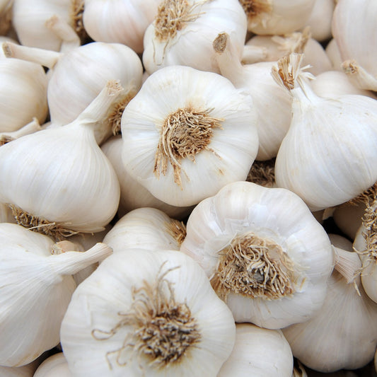 3x Garlic