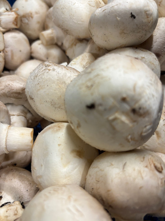 8x Mushrooms (Loose)