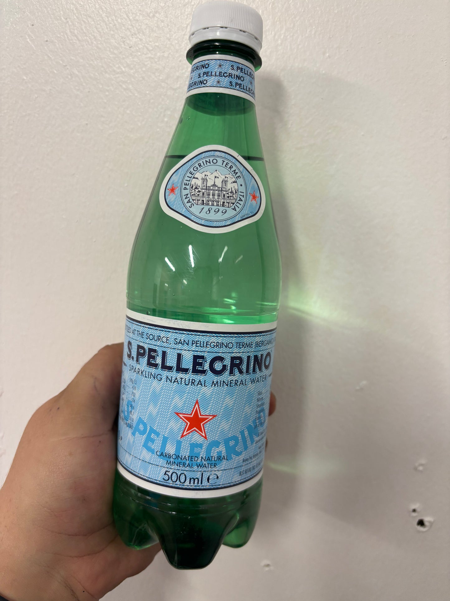 S.Pellegrino Sparkling Natural Mineral Water / 500ml